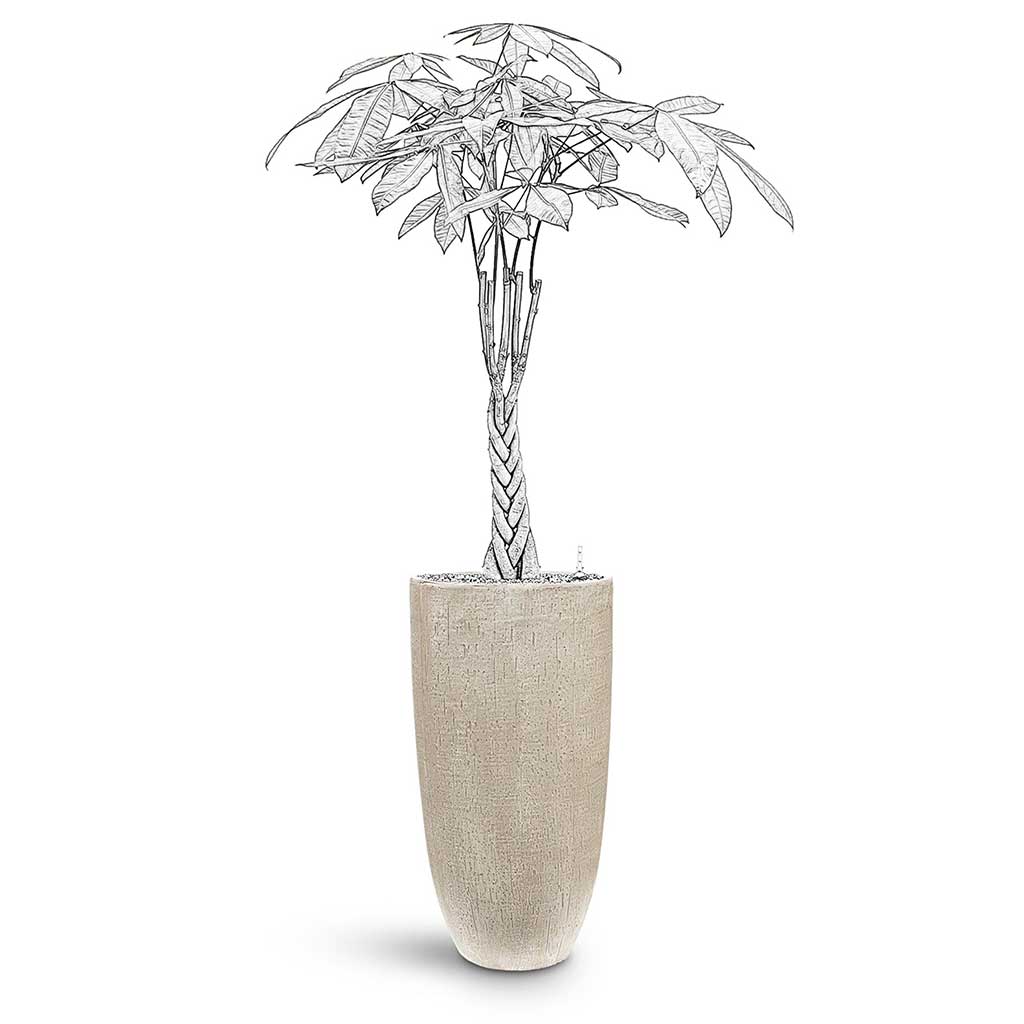 Raindrop Tall Partner Planter - XL Plant Display