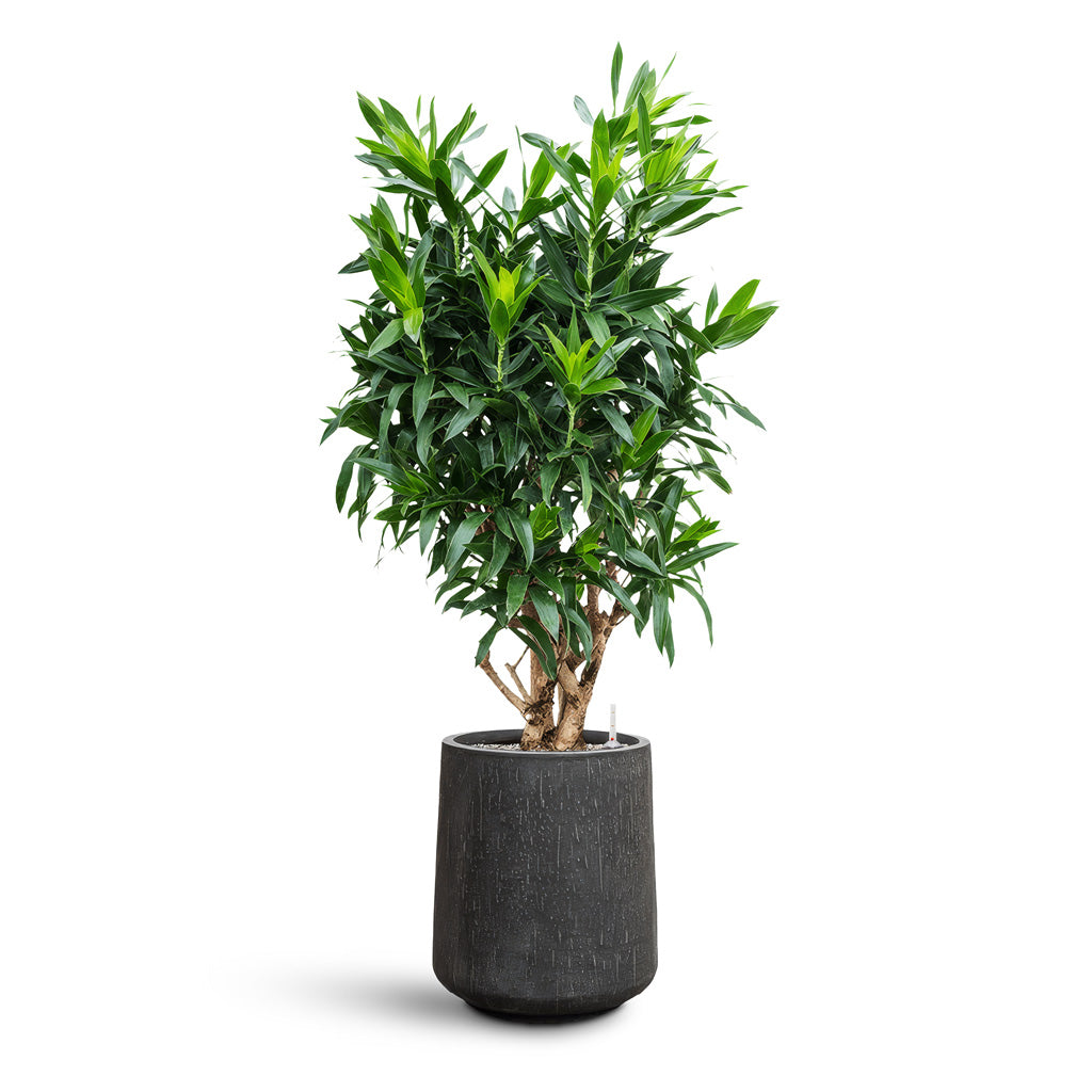 Raindrop Tube High Round Planter - Large Plant Display