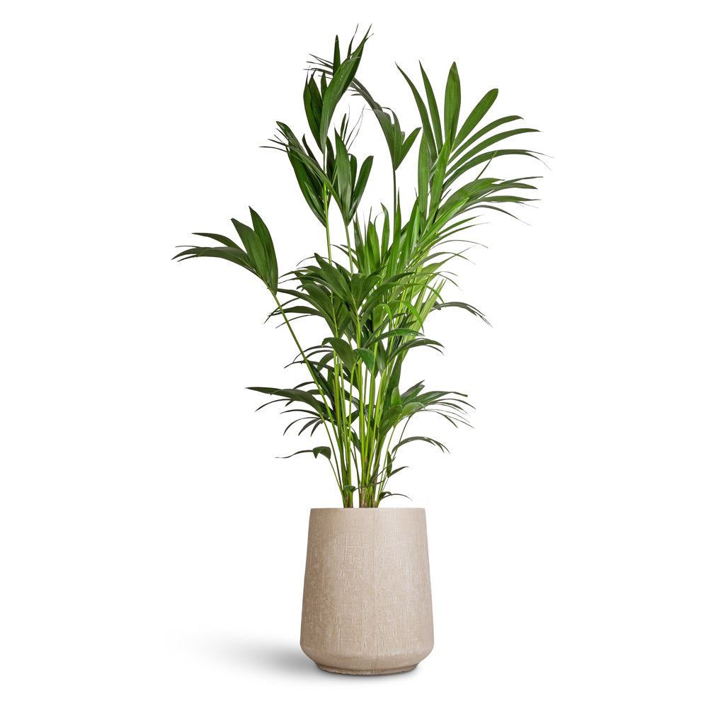 Raindrop Tube High Round Planter - Large Plant Display