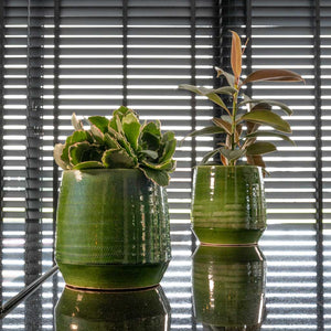 Remi Plant Pot - Green Infront of Blinds