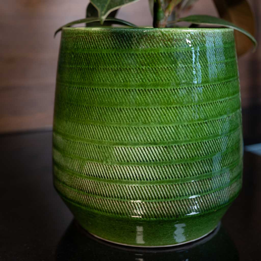 Remi Plant Pot - Green - Close Up
