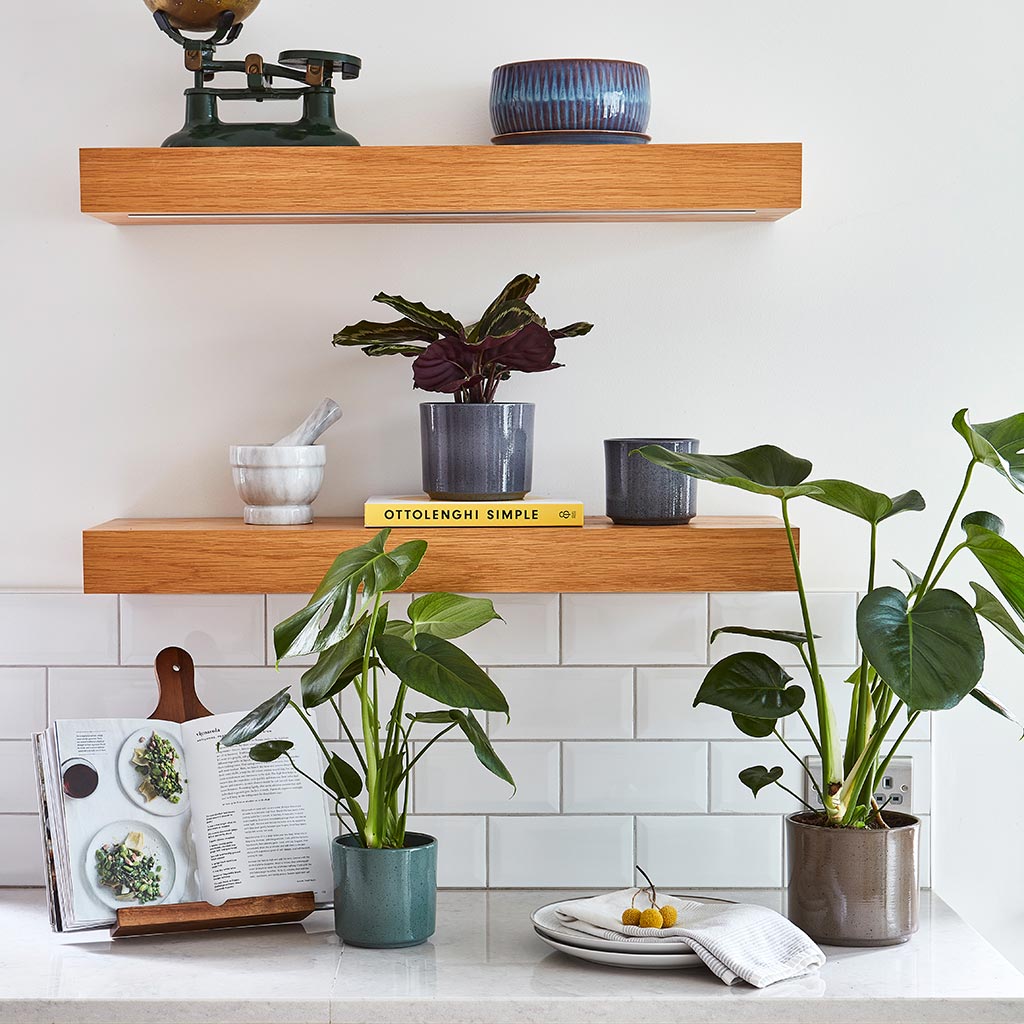 Remmi Glaze Plant Pot - Mocha & Collection