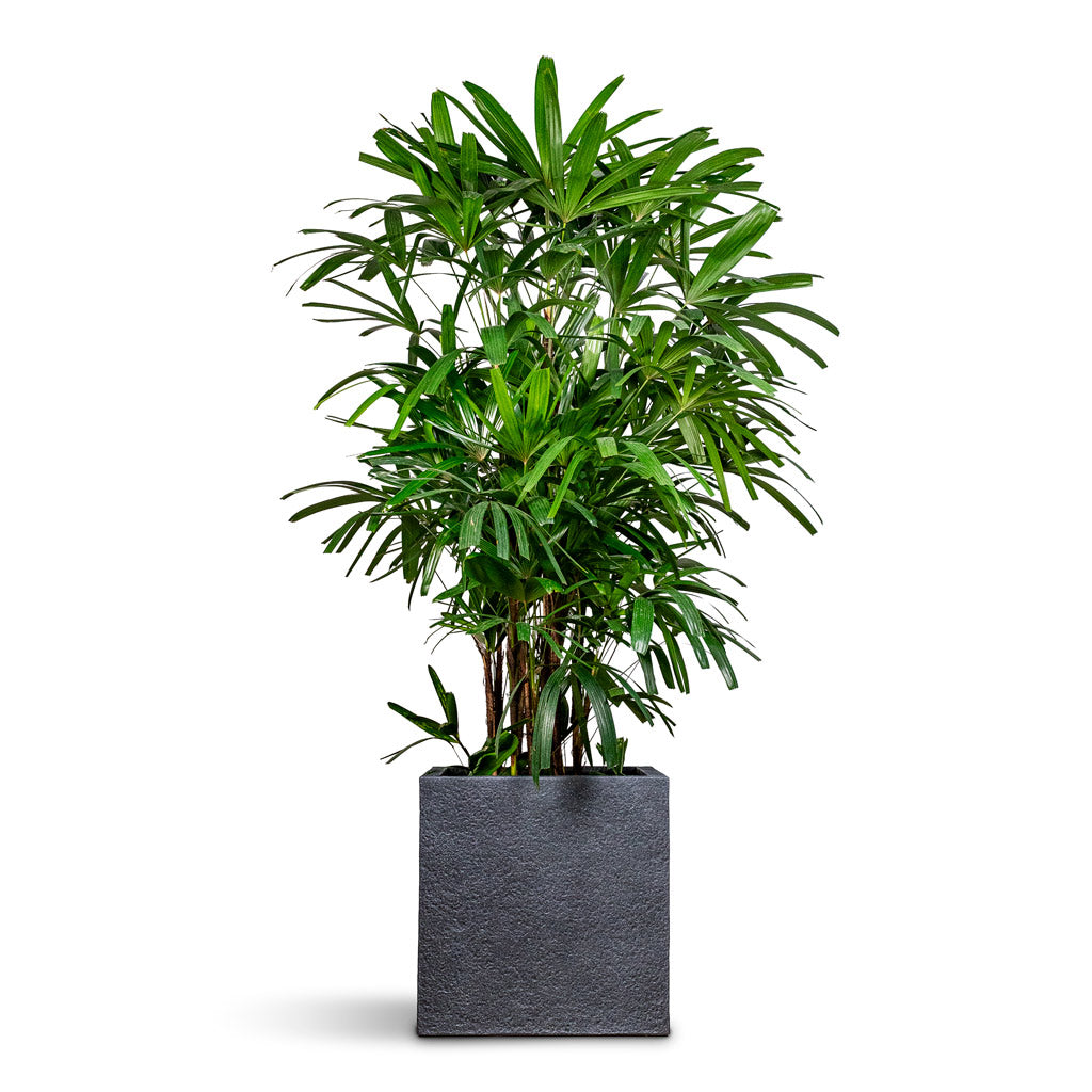 Block Granite Planter - Midnight Black