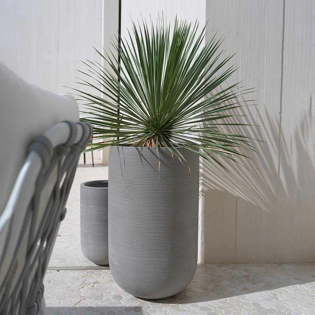 Ridged Cody Tall Planters Dark Grey