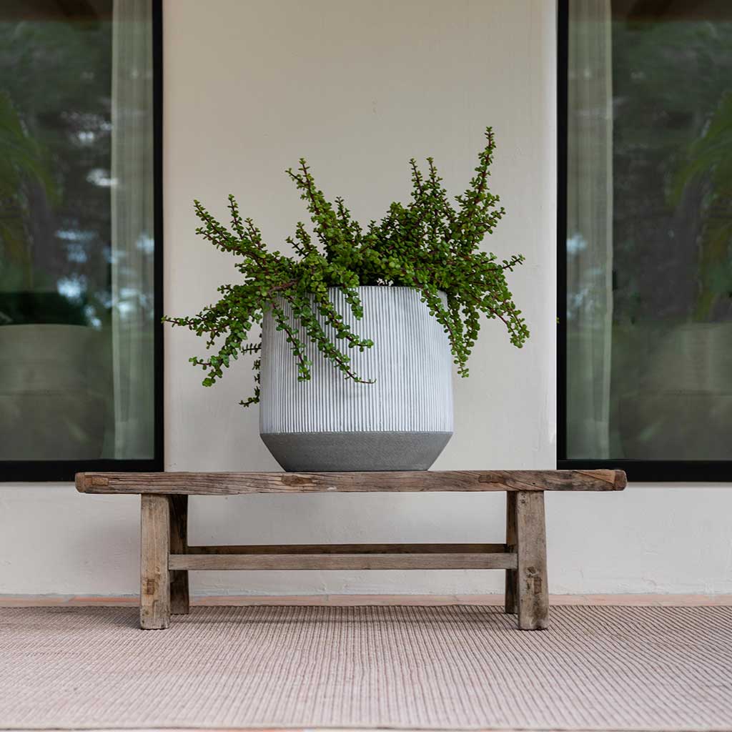 Ridged Harith Plant Pot - White Stripe