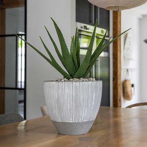 Ridged Jesslyn Planter - White Stripe & Aloe Vera Indoor Plant