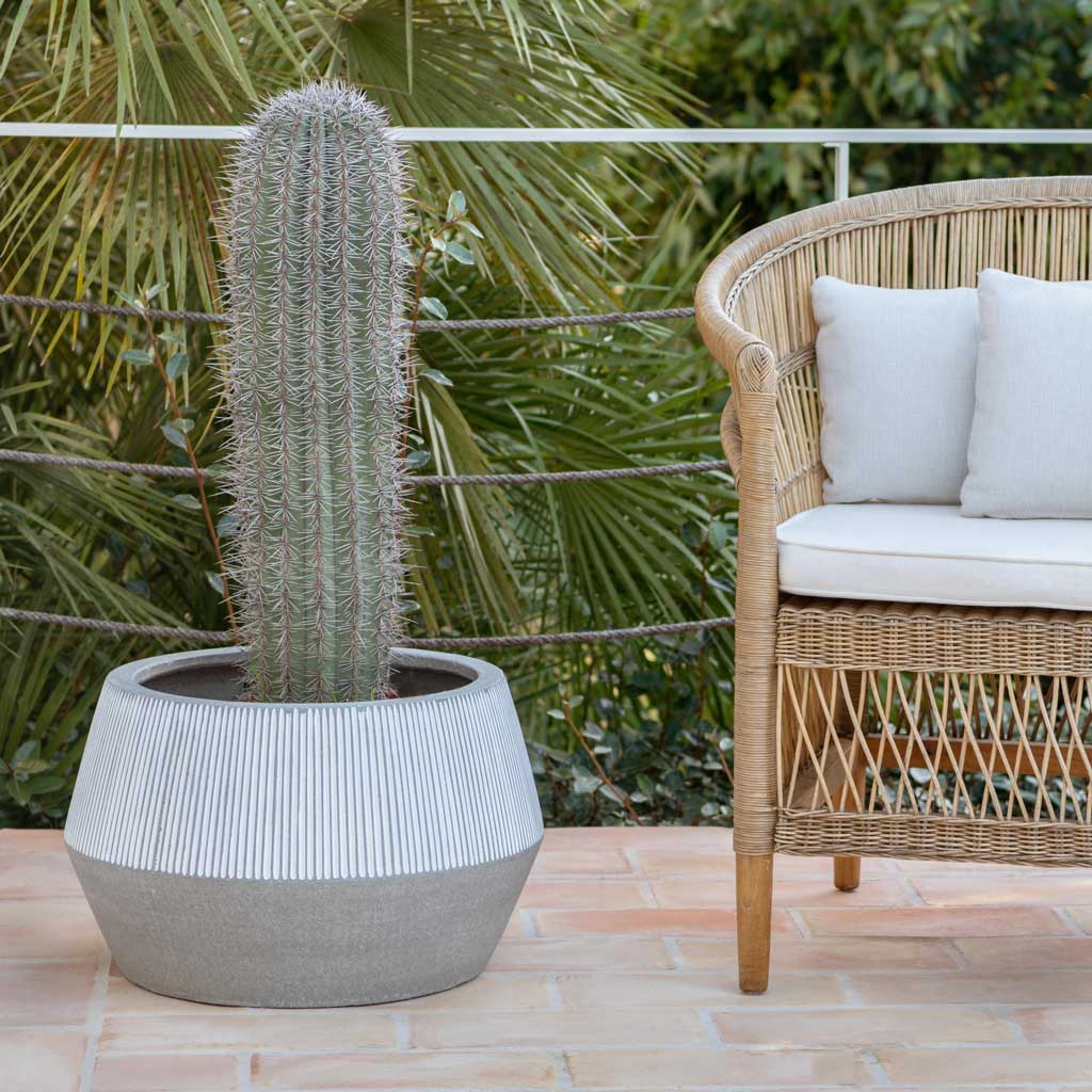 Ridged Low Harley Plant Pot - White Stripe