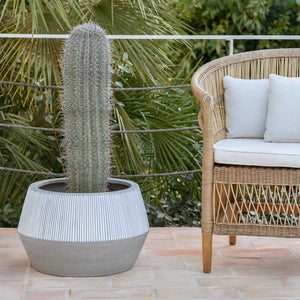 Ridged Low Harley Plant Pot - White Stripe & Cactus Outdoors