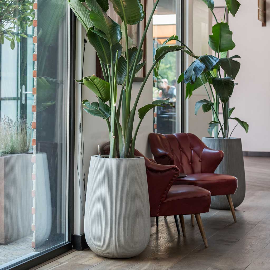 Ridged Patt High Planter Cement