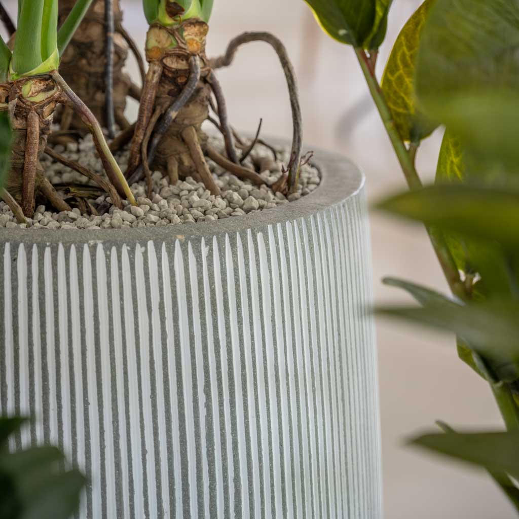 Ridged Tall Harith Plant Pot - White Stripe Close Up