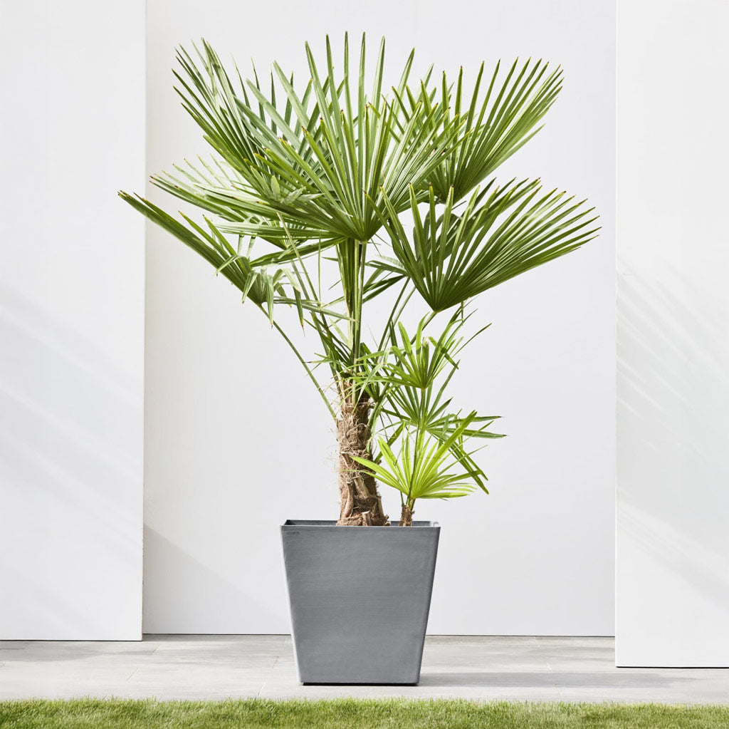 
EcoPots Rotterdam - Grey Recycled Planter XL