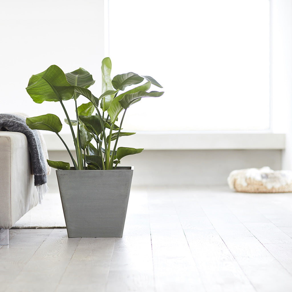 EcoPots Rotterdam - Grey Recycled Planter