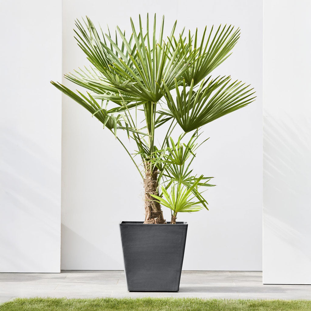 Rotterdam Cube Planter Slate 20x20x18cm