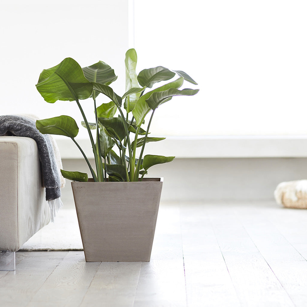 Rotterdam Cube Planter Taupe 30x30x26cm