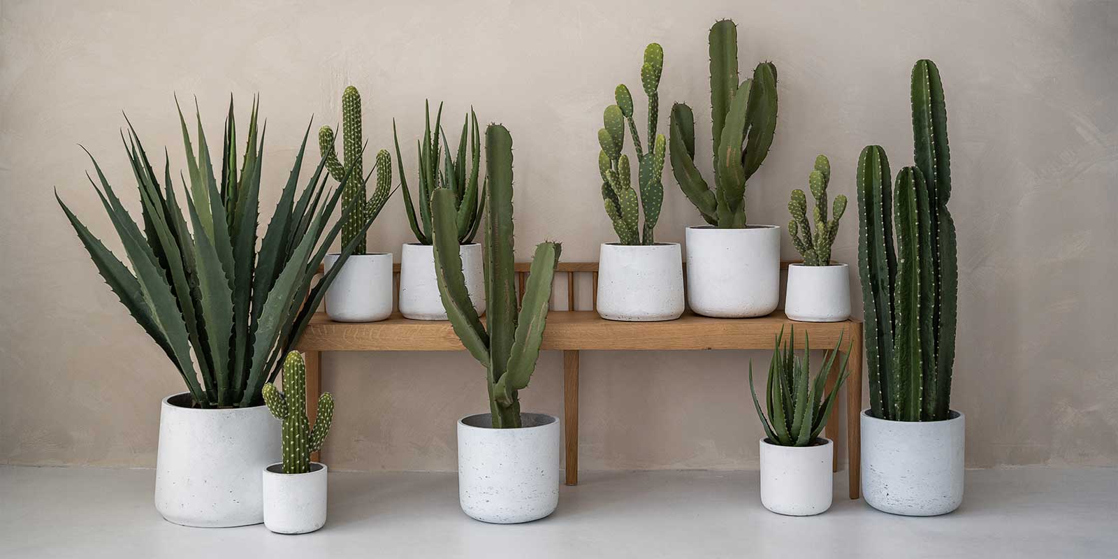 The Rough White Washed Planter & Plant Pot Collection