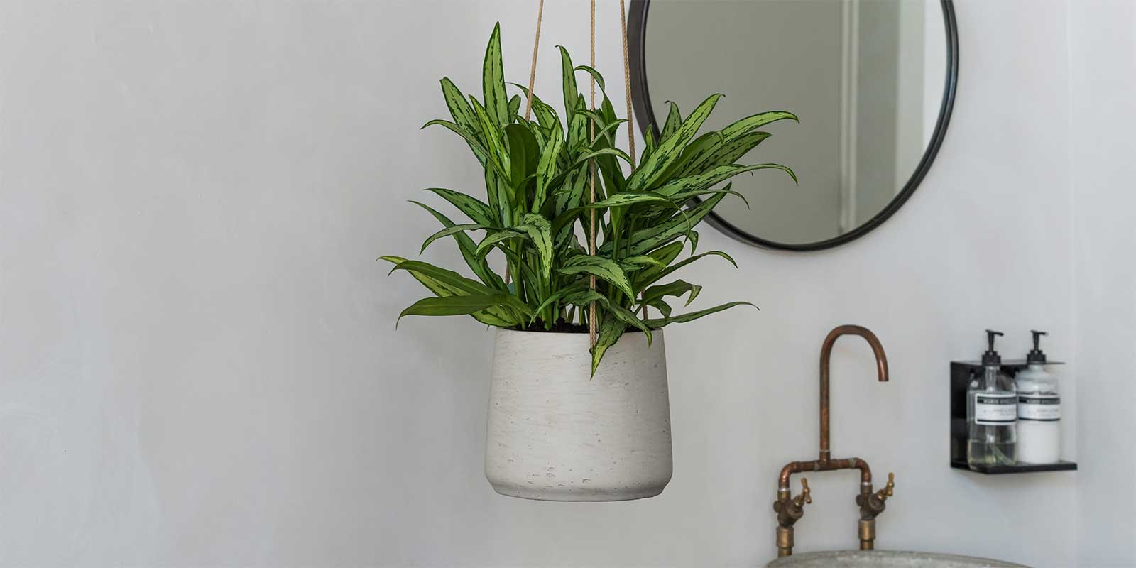 Rough Patt Hanging Plant Pot