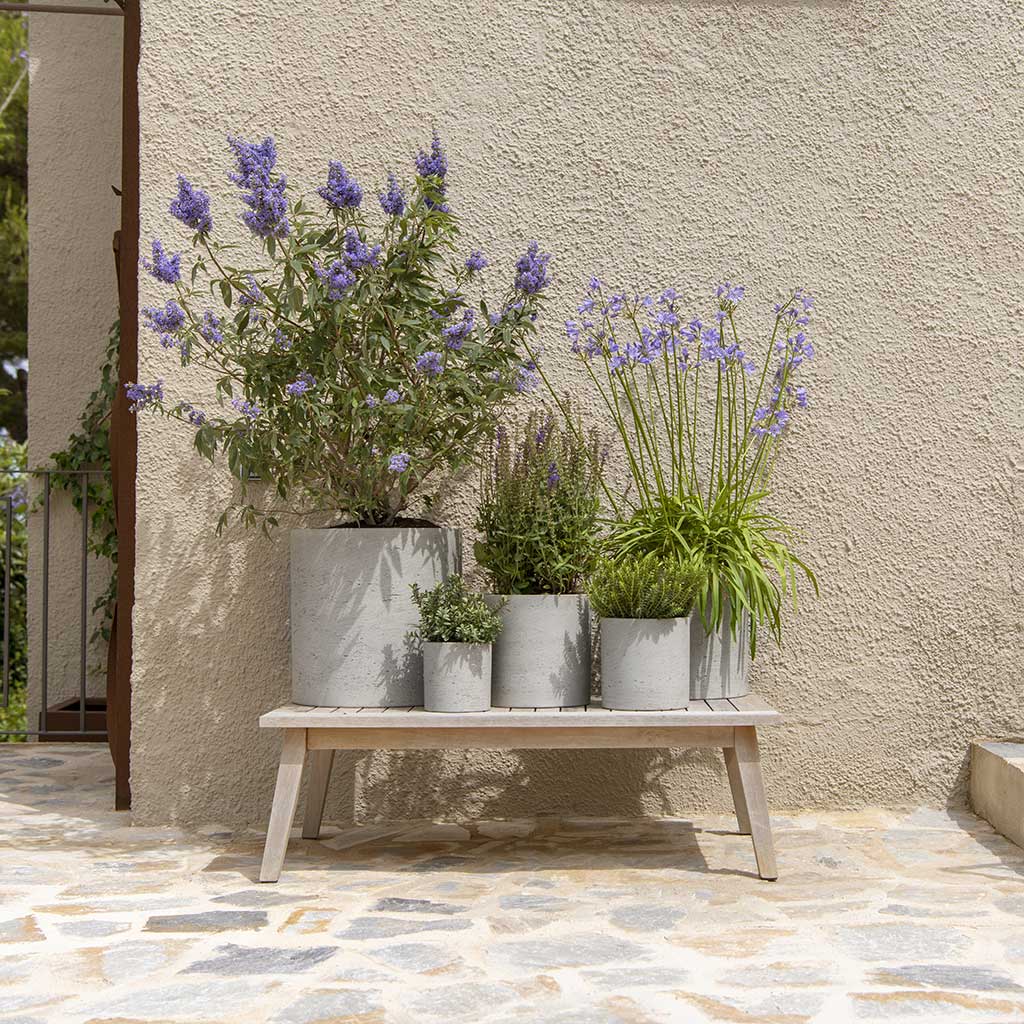 Rough Novi & Suzi Planters