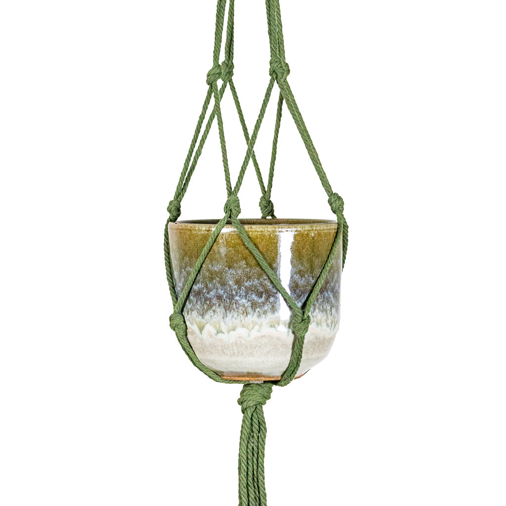 Rowe Glaze Pot Olive Wash 14.5x13cm hanging in Knotted Macrame Hanging Rope Forest 90cm