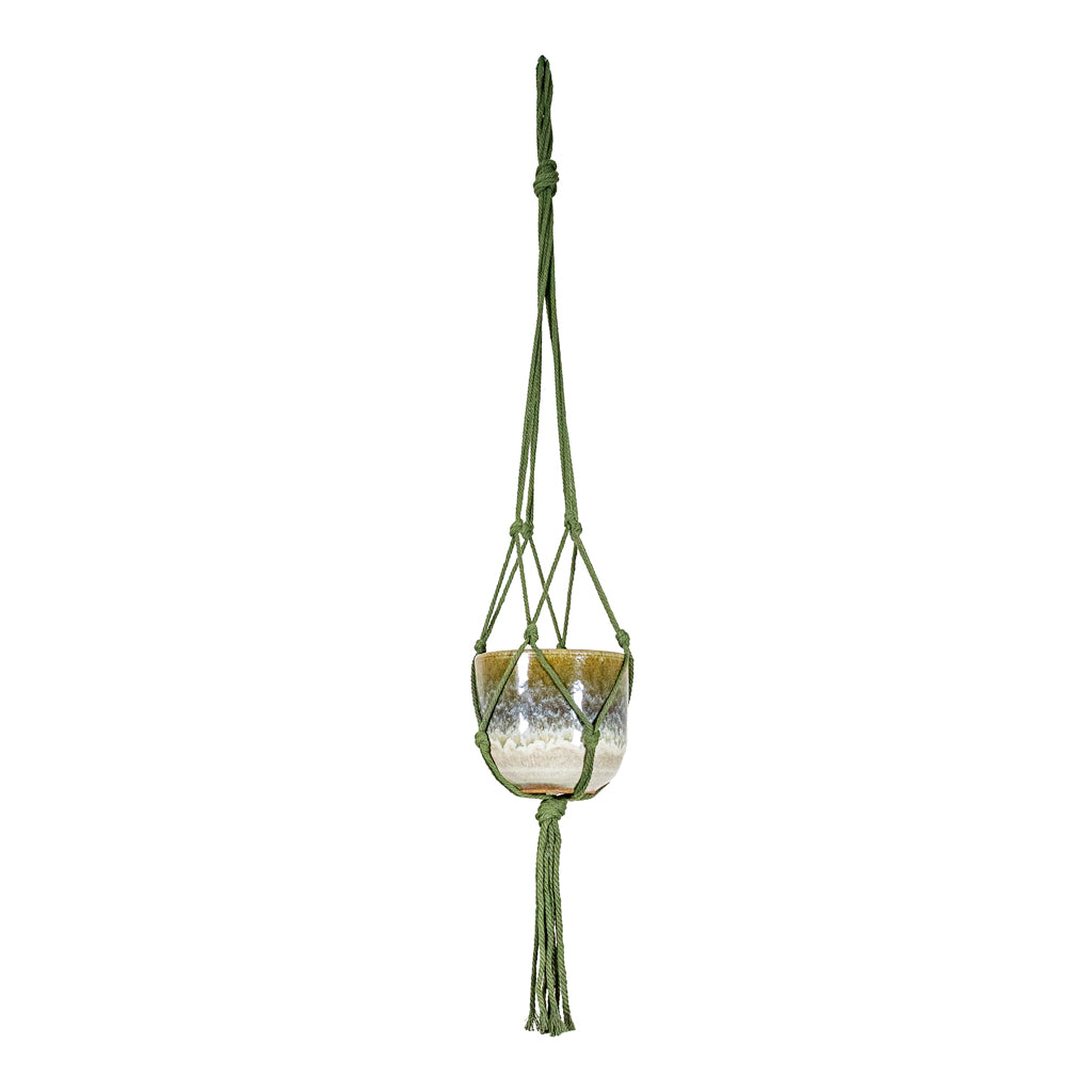 Rowe Glaze Pot Olive Wash 14.5x13cm hanging in Knotted Macrame Hanging Rope Forest 90cm