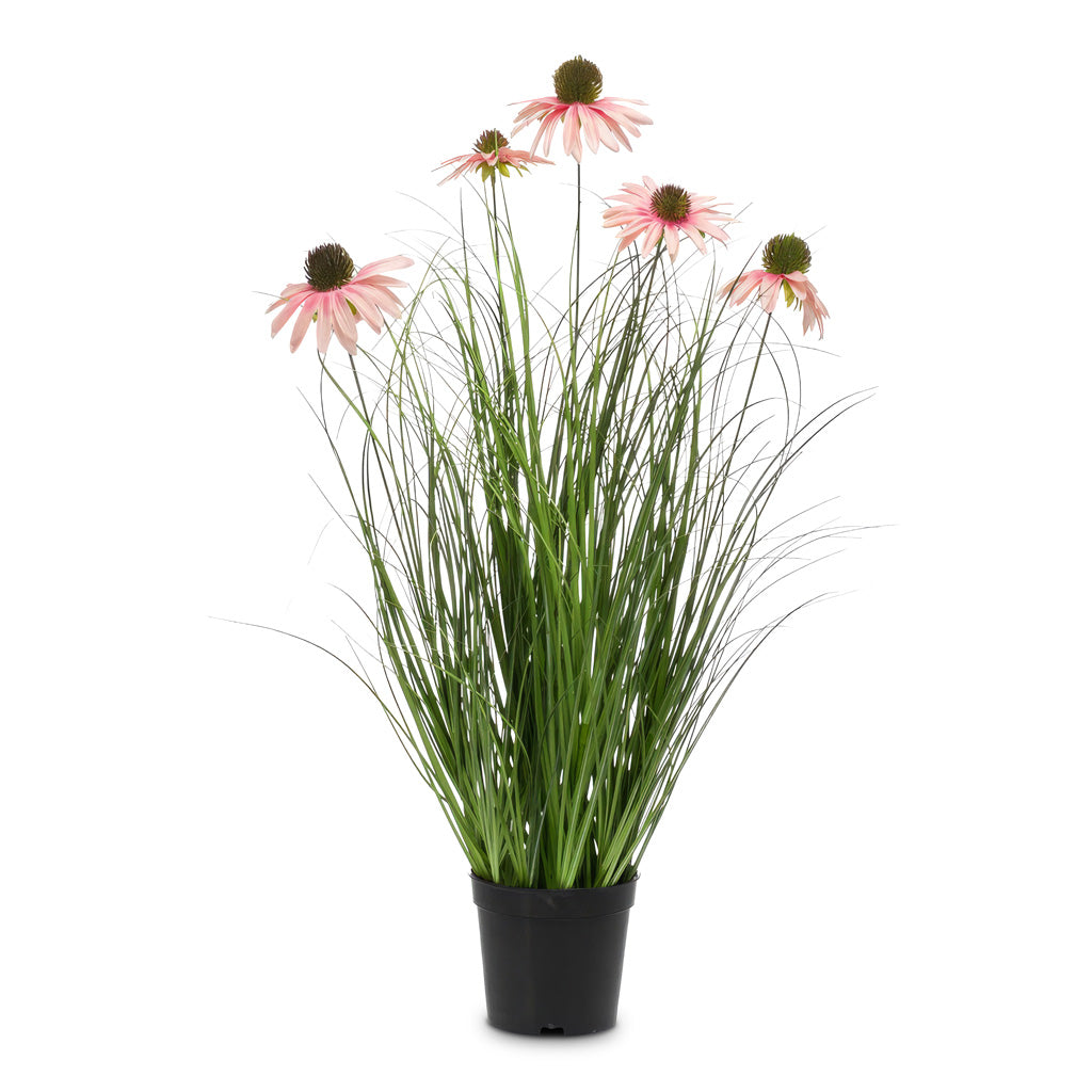 Rudbeckia Grass Pink Potted 60cm Artificial