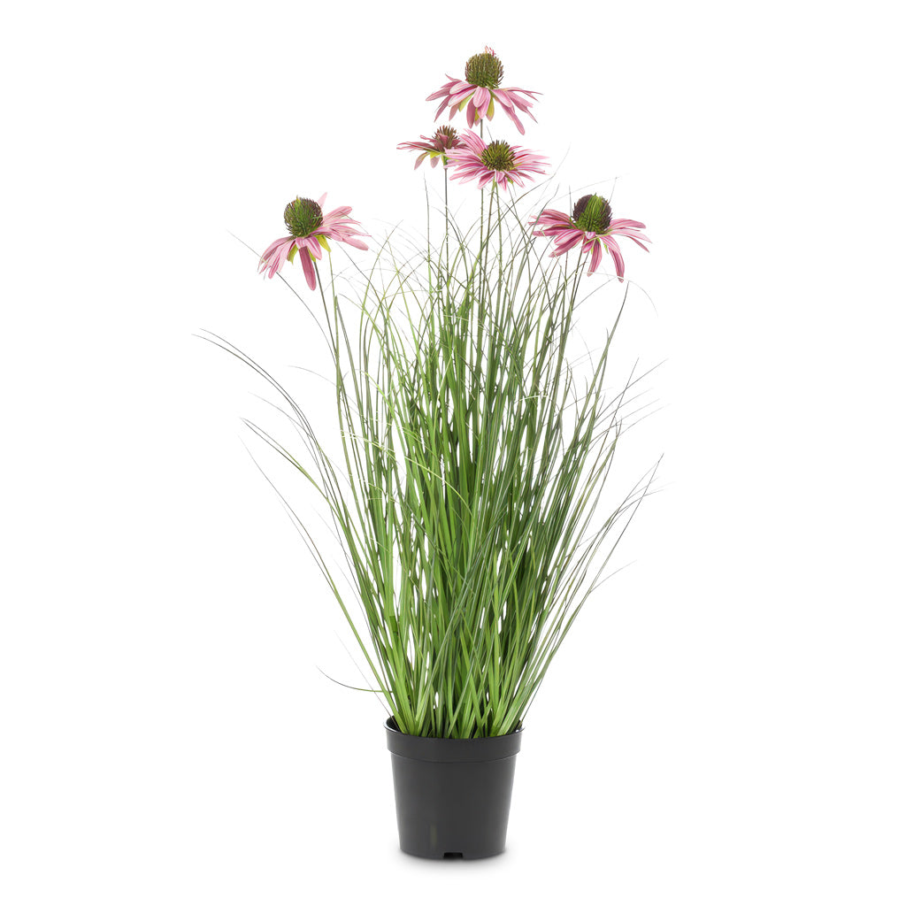 Rudbeckia Grass Purple Potted 60cm Artificial
