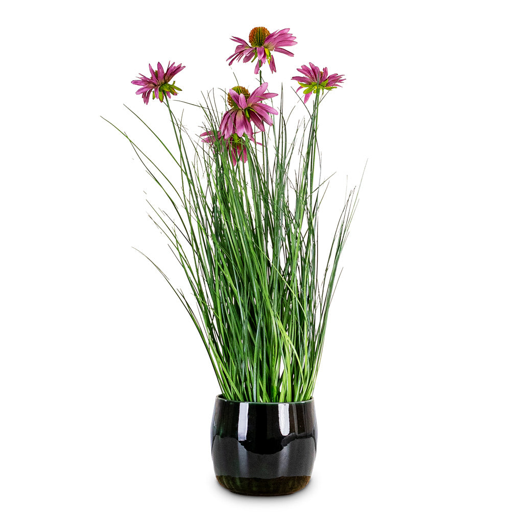 Rudbeckia Grass Purple Potted Artificial 60cm House Plant In Babet Pot Pine 14x12cm