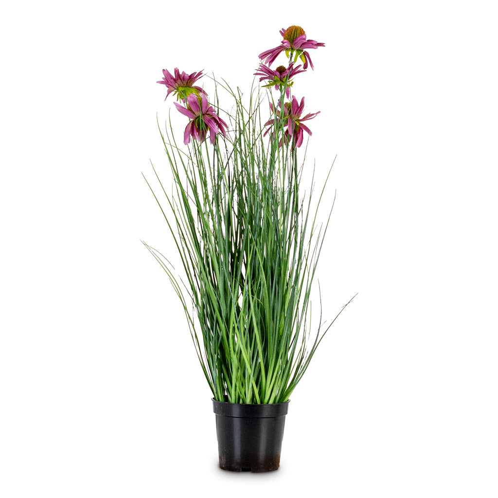 Rudbeckia Grass Purple Potted Artificial 60cm
