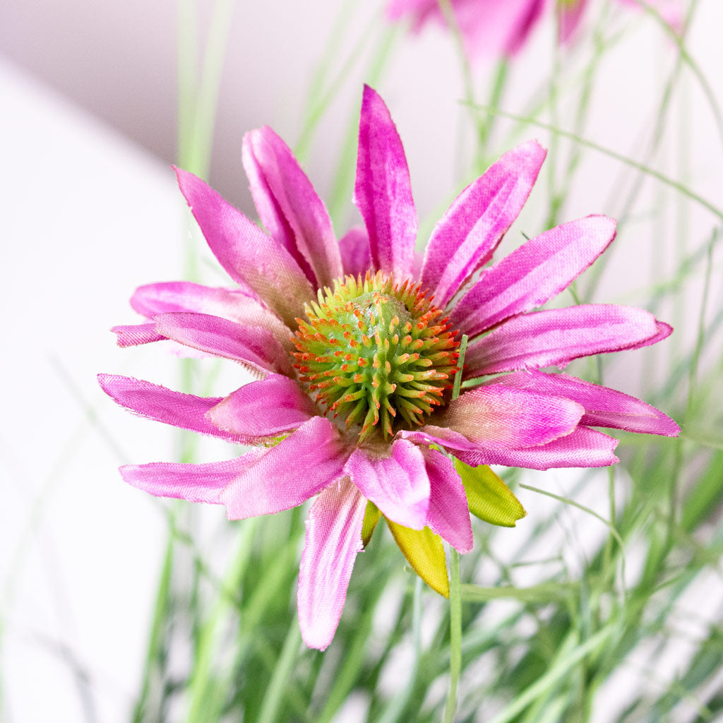 Rudbeckia Grass Purple Potted Artificial Close up 2