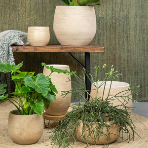 Ryan Plant Pot Collection - Sand Gold