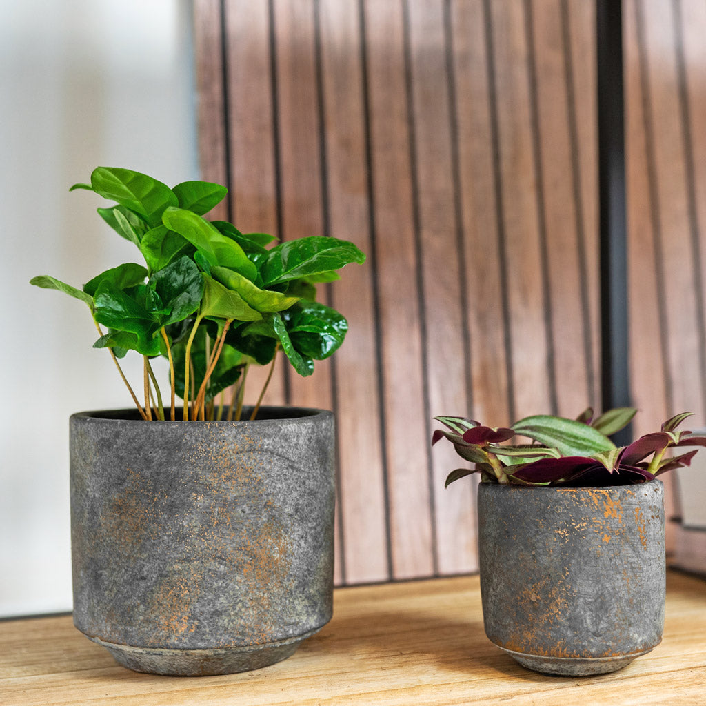 Saar Plant Pot - Earth Cement - 26 x 25cm