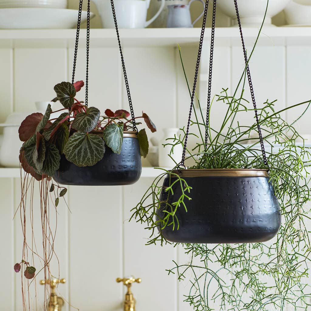 Sahara Hanging Pot Slate - 19x12cm