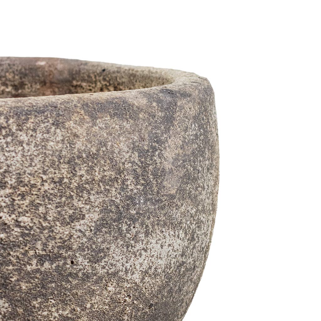 Sandora Bowl Brown Details 