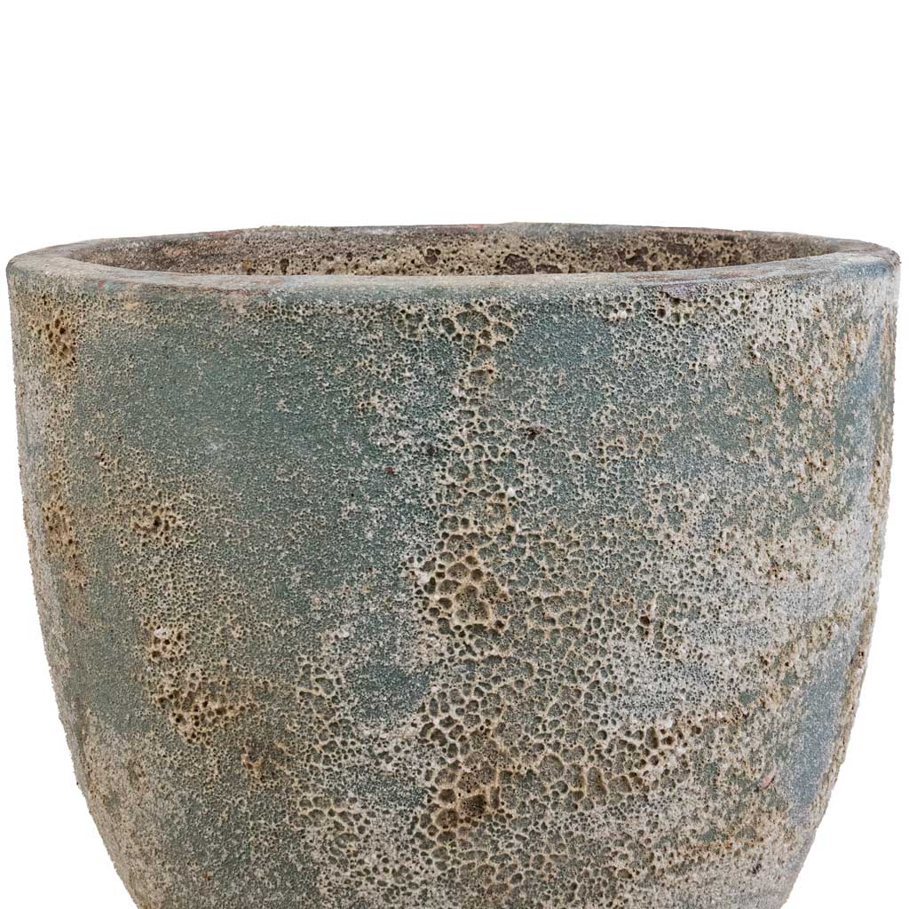 Sandora Couple Green Close Up Rim 