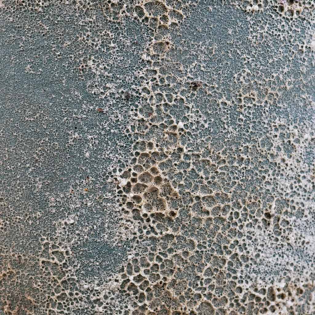 Sandora Couple Green Details