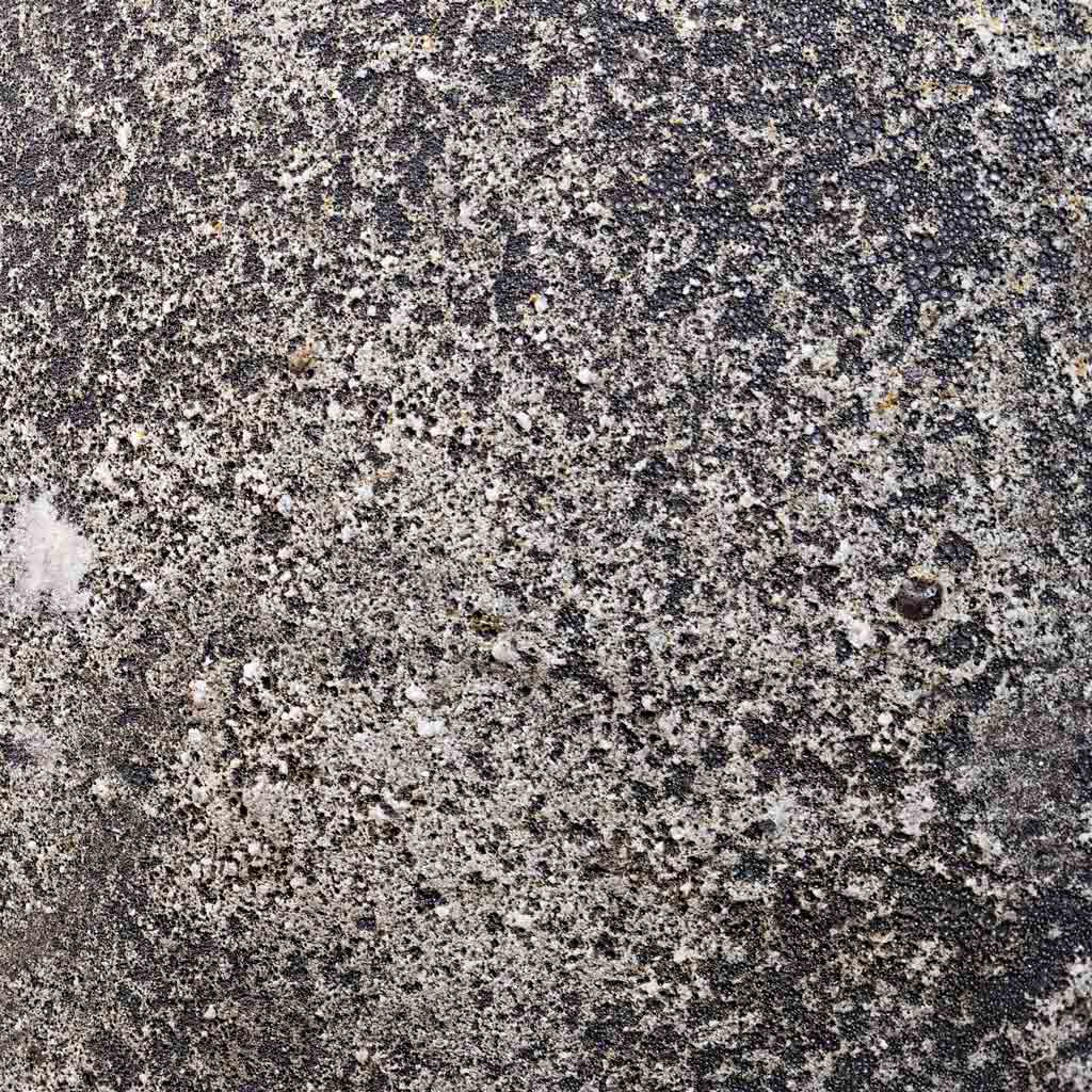 Sandora Emperor Brown Close up