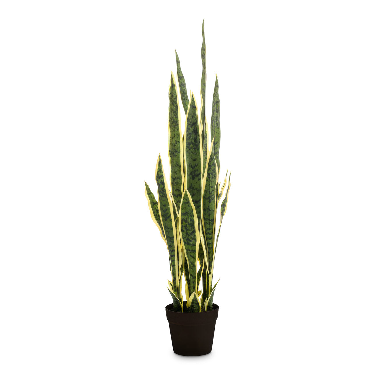 Sansevieria laurentii Snake Plant Potted 95cm Artificial