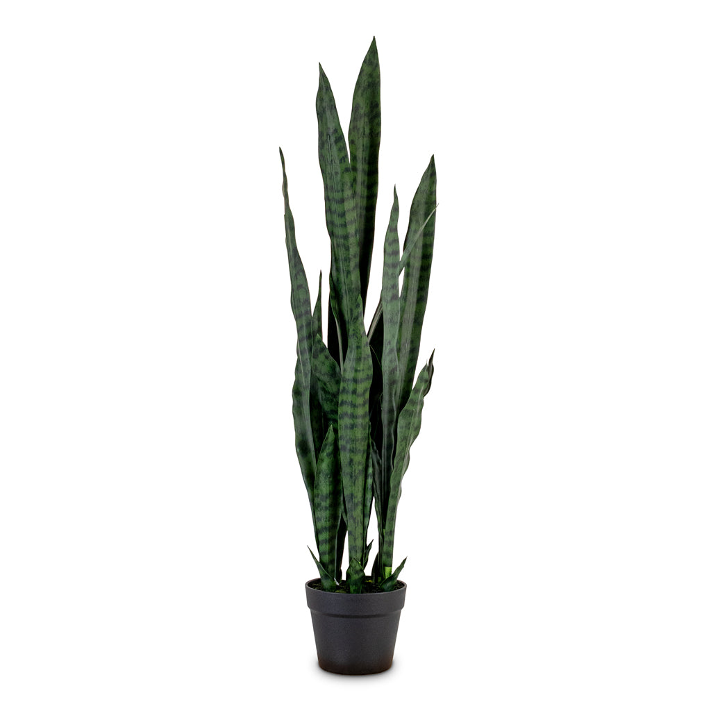 Sansevieria zeylanica Snake Plant Potted Artificial 95cm