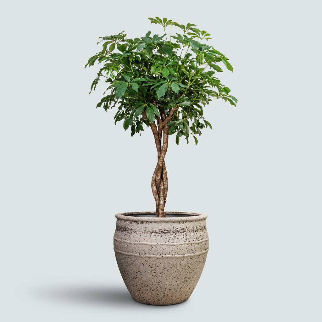 Athena Mediterranean Planter