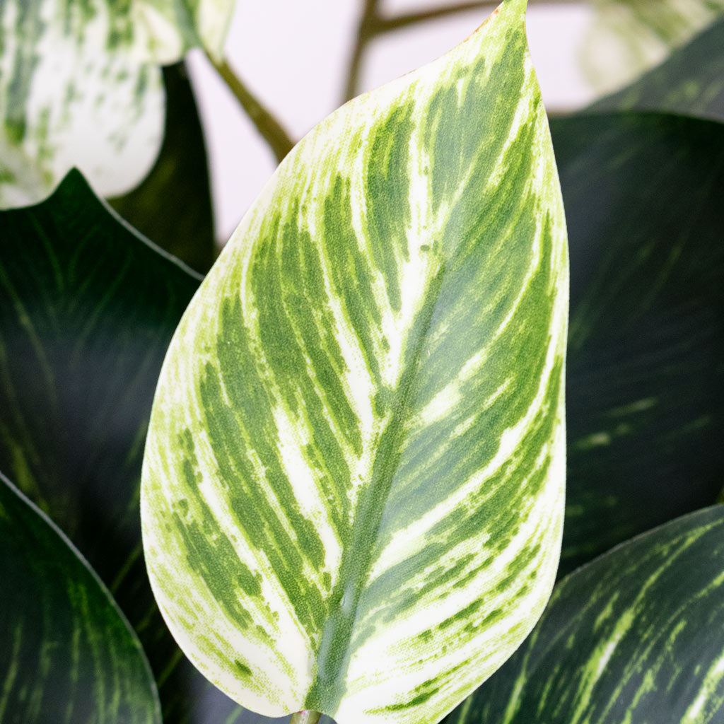 Scindapsus Bush Green White Potted Artificial Close up
