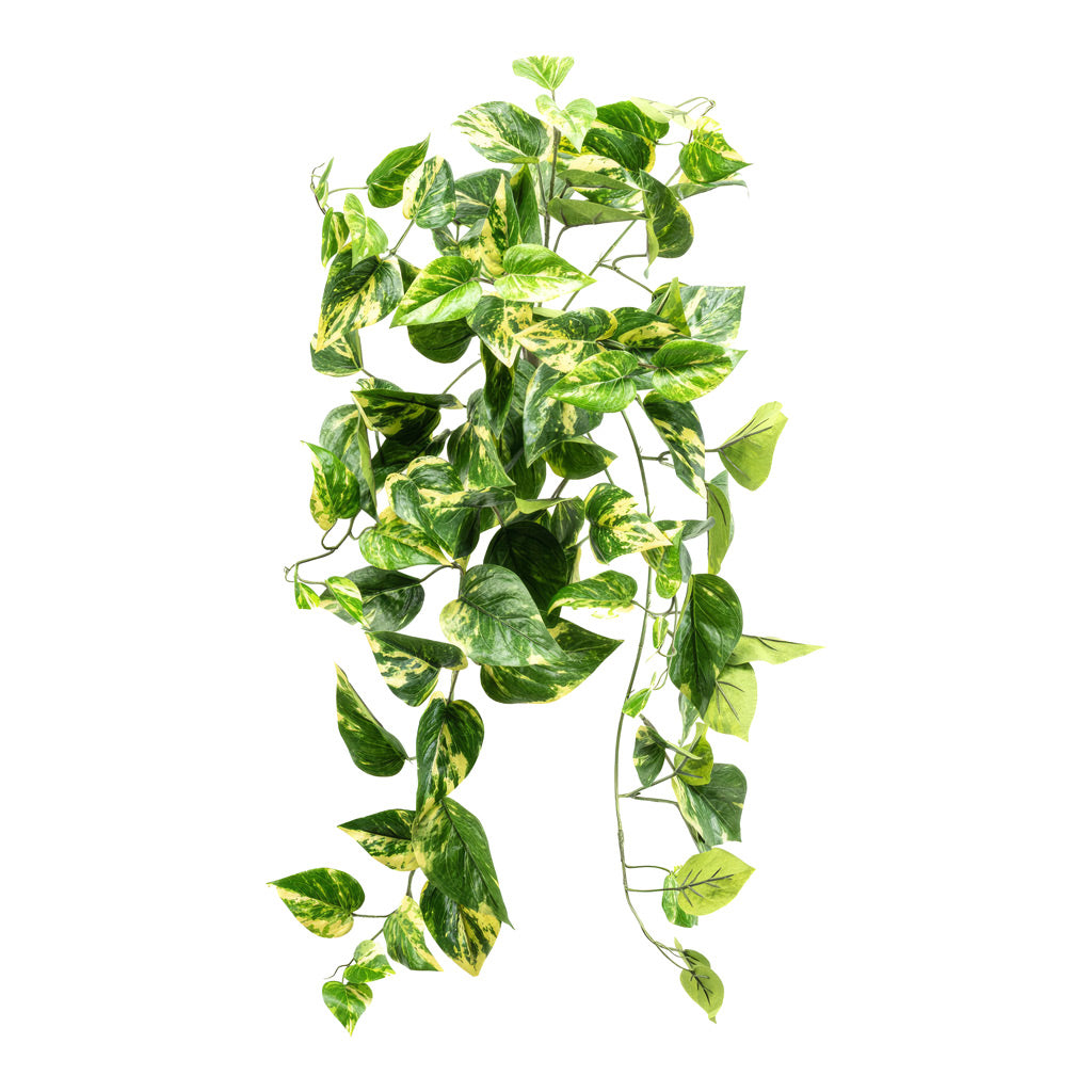 Scindapsus Hanging Bush FR Green Yellow Artificial 60cm