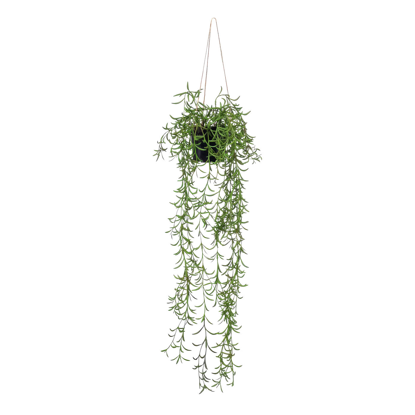 Senecio String of Bananas Hanging Bush Potted 85cm Artificial