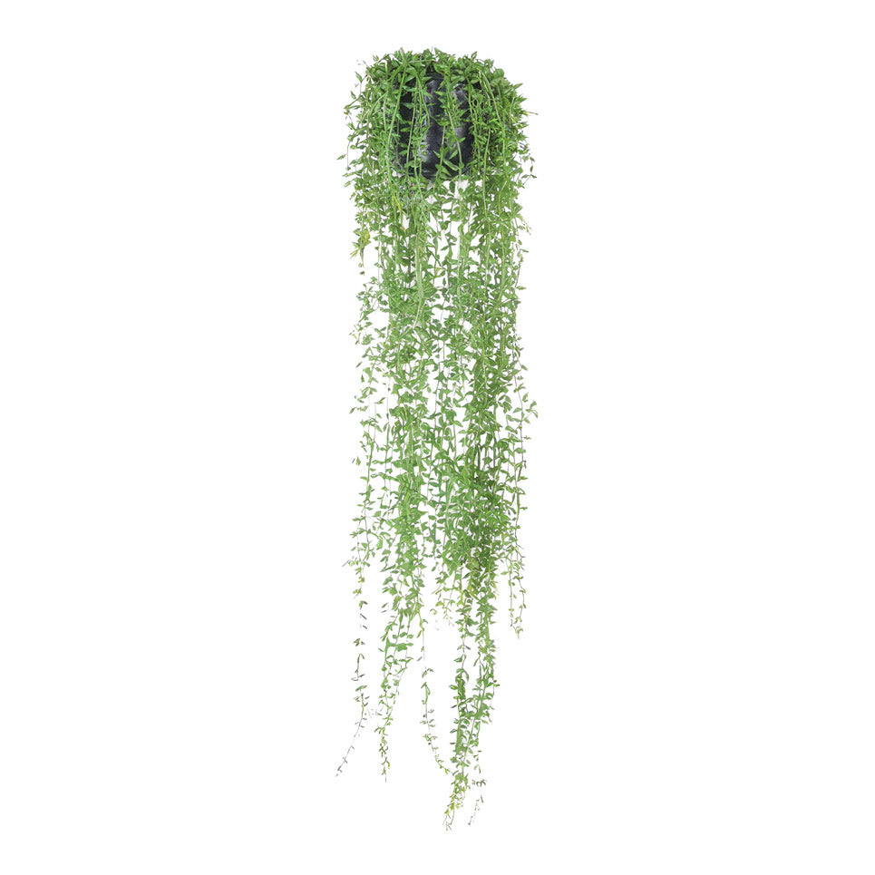Senecio String of Pearls Hanging Bush Potted 100cm Artificial