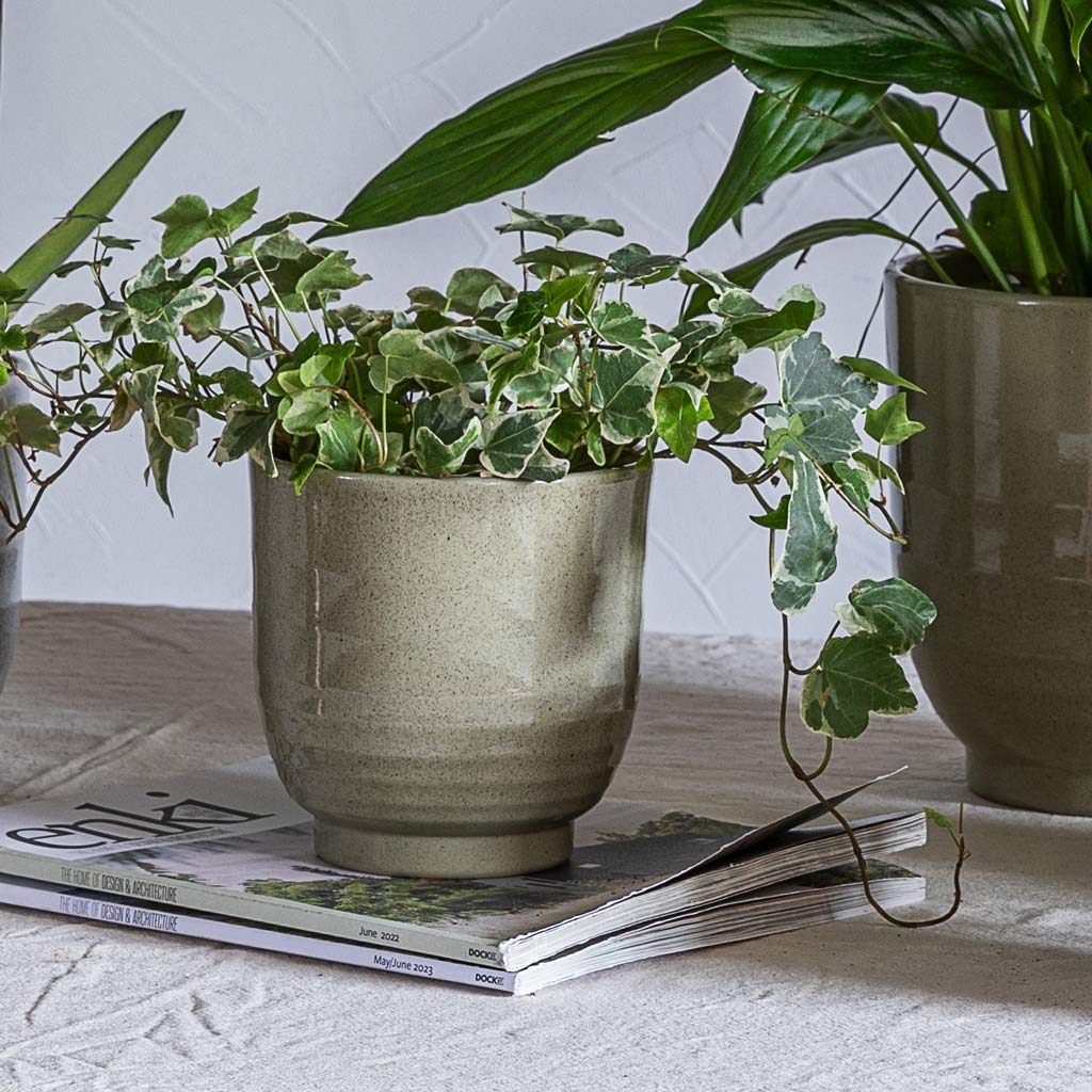 Sofia Pot Green - 15.5x15.5cm