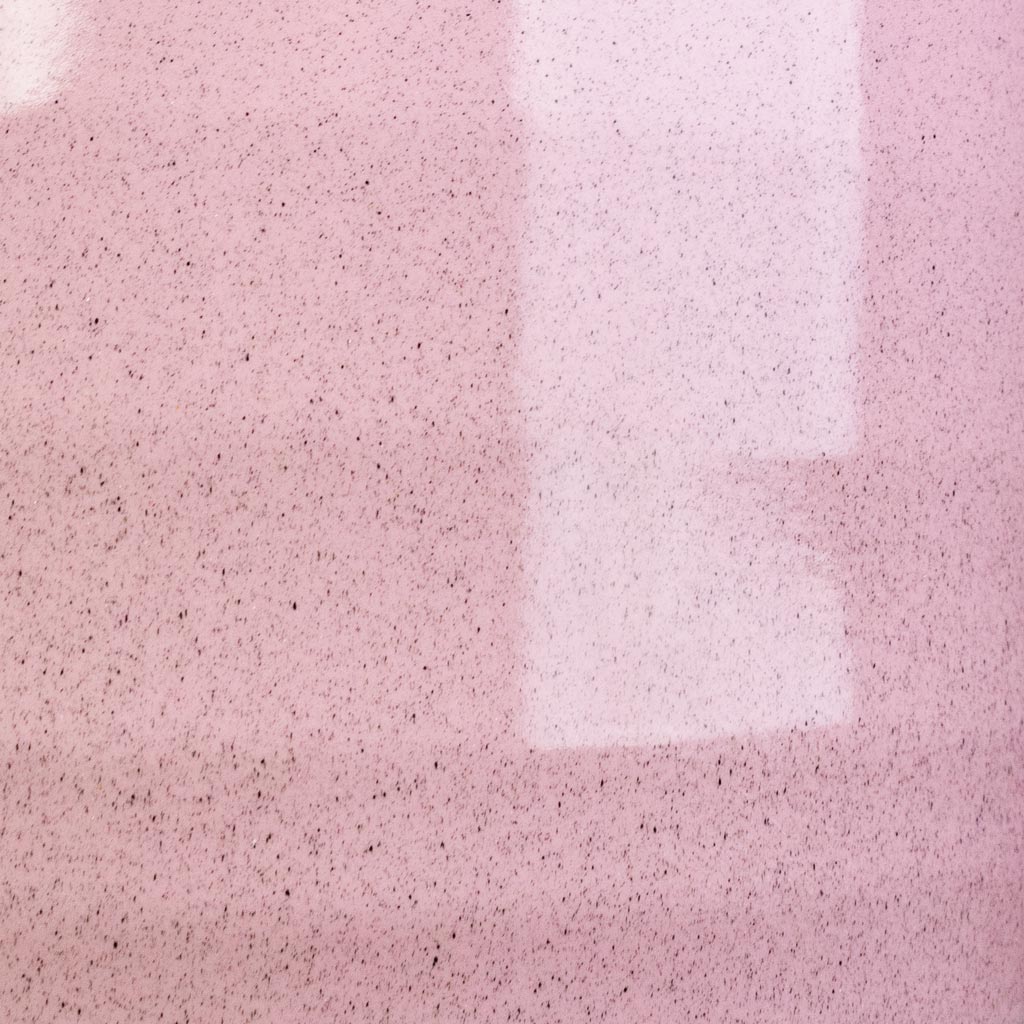 Sofia Pot Rose Close Up 