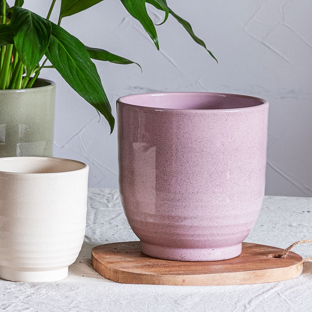 Sofia Plant Pot Rose 