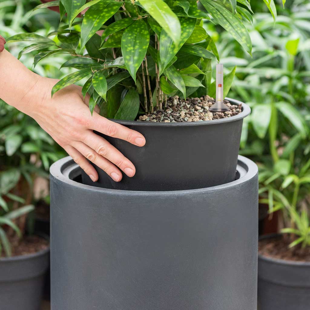 Solid Cylinder Planter - Dark Grey & Hydroculture Insert