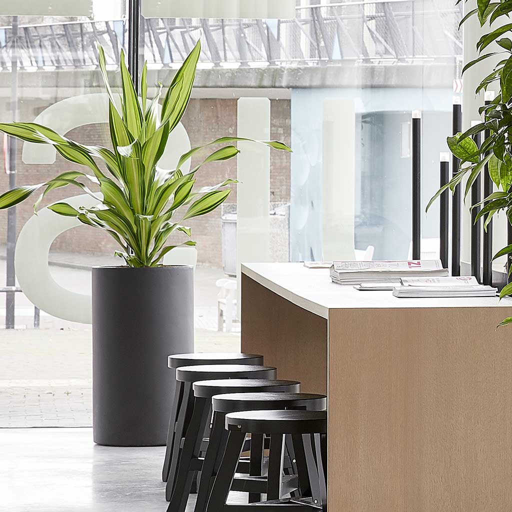 Solid Cylinder Planter - Dark Grey In Window