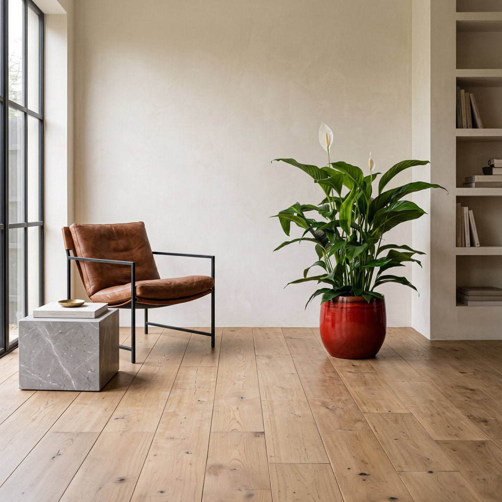 Spathiphyllum Sweet Lauretta 24x90cm House Plant in Charlotte Pot Red 33x30cm