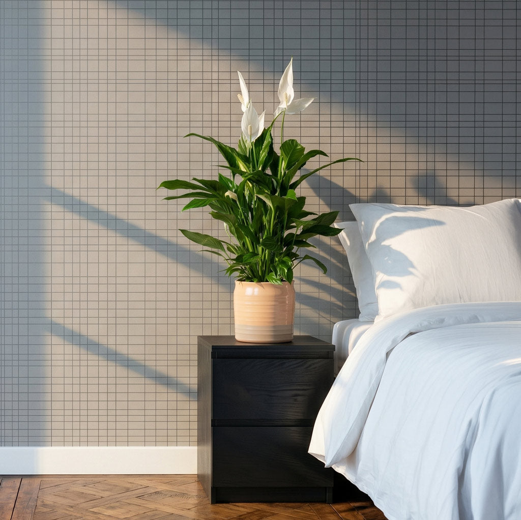 Spathiphyllum Vivaldi - Peace Lily & Azalea Ribbed Plant Pot - Speckled Green Stone