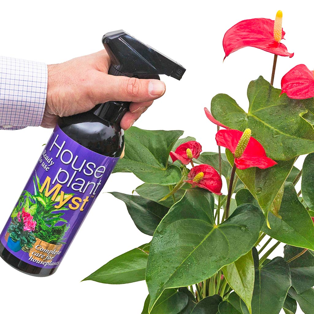 Houseplant Myst - Complete Care - 750ml Trigger Spray